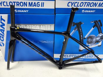 Giant, TCR Advanced Pro, Disc Frameset 2021 Frameset