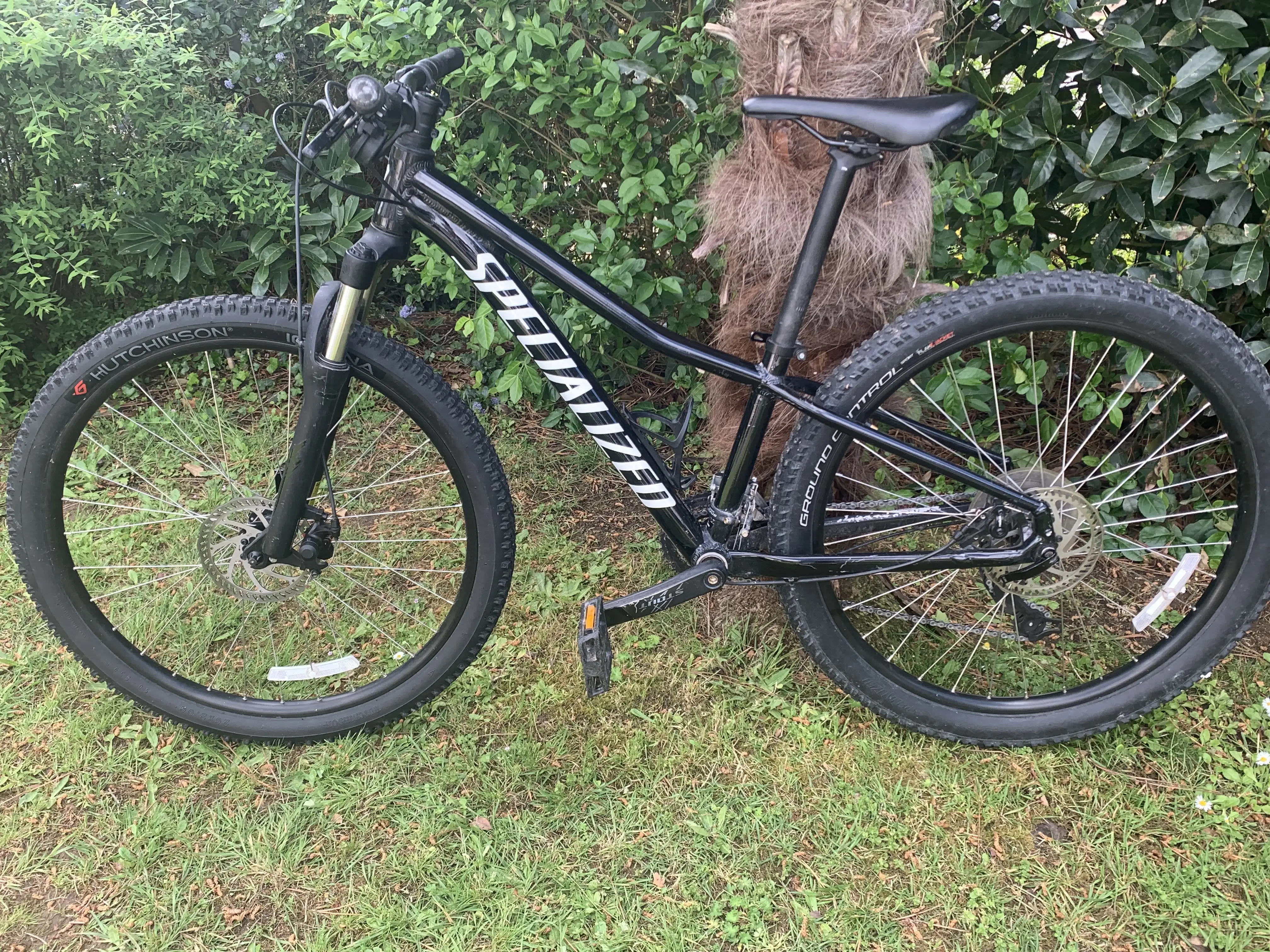 Specialized rockhopper deals 2019 sport