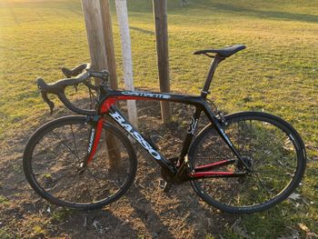 Basso, Diamante Campagnolo Chorus
