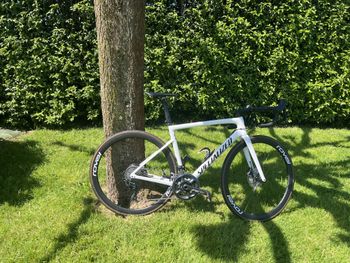 Specialized, Tarmac SL6 Disc Expert 2020