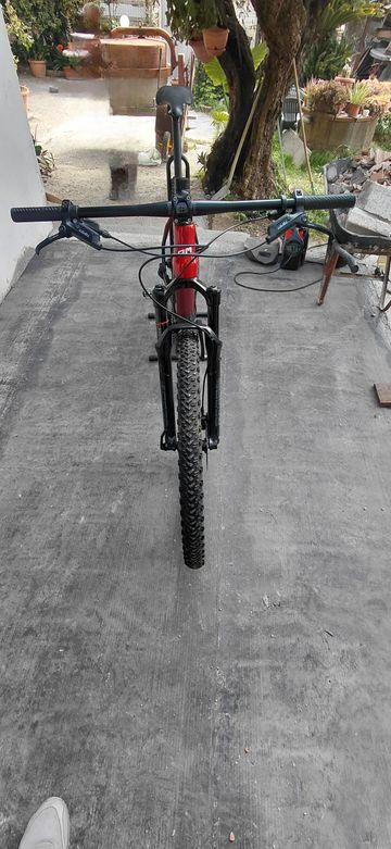 Brugt RACE MOUNTAIN R29 Carbon 2024 Mountainbike — billede 4 af 13