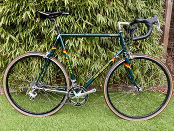 Eddy Merckx, Eddy Merckx Custom Other Campagnolo
