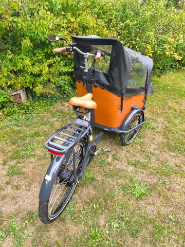 Gebrauchtes Babboe Custom Other 2022 Urban, Hellgrau — Bild 3 von 11