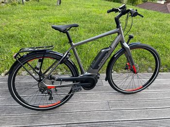 Used Koga PACE B05 Tokyo Edition 2022 2022 Urban & Touring