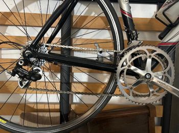 Used Olympia Olympia Custom Other Campagnolo 2005 Road & Gravel — image 3 of 8