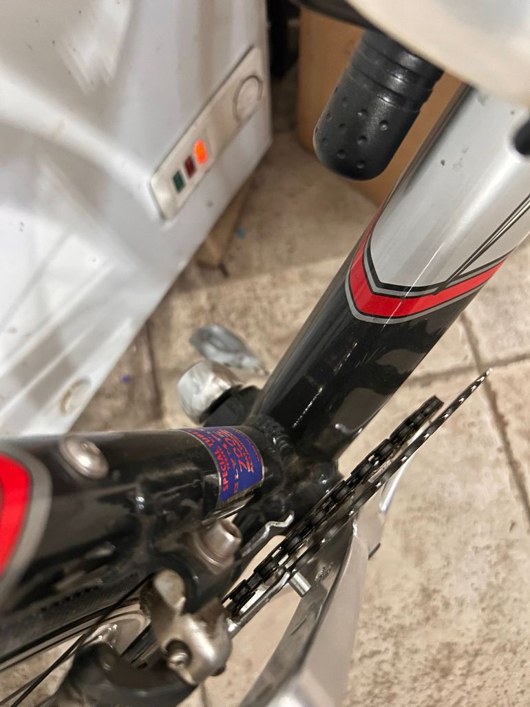 Used Olympia Olympia Custom Other Campagnolo 2005 Road & Gravel — image 8 of 8