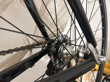 Used Olympia Olympia Custom Other Campagnolo 2005 Road & Gravel — image 7 of 8