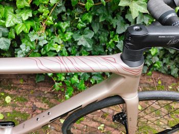 Used KTM Revelator SRAM Rival eTap AXS 2025 Road & Gravel, Light Gray — image 6 of 13