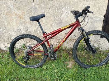 GT, GT Custom