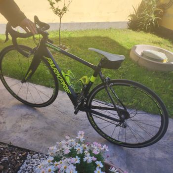 Used Parkpre Parkpre Carbonio 2022 Road & Gravel