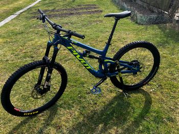 Pivot, Firebird 29 Race XT 2020
