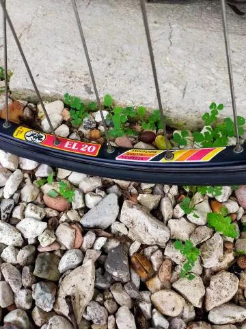 Brugt Francesco Moser Moser LEADER N.P. 1984 Road & Gravel — billede 8 af 22