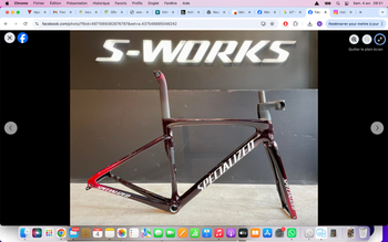 Specialized, Special Edition Speed Of Light Frameset