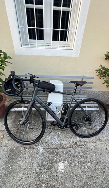 Trek, Trek Domane Al 2