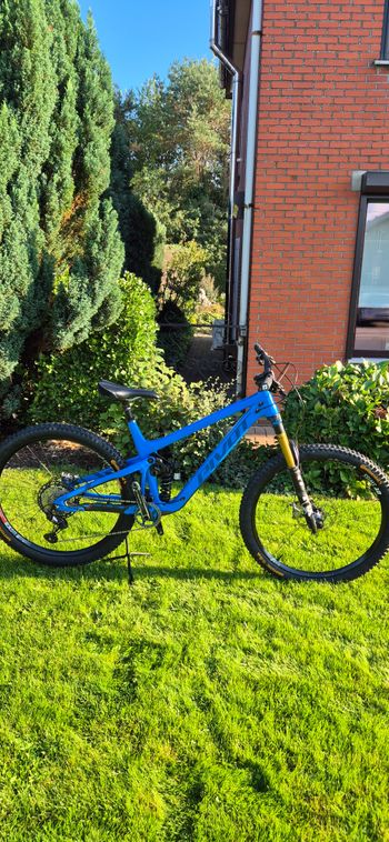Pivot, Switchblade Race XT 2021