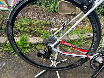 Used Colnago Cx zero Campagnolo Centaur 2017 Road & Gravel, Weiß — image 4 of 6