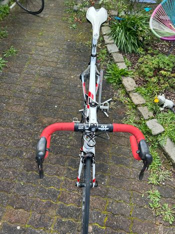 Used Colnago Cx zero Campagnolo Centaur 2017 Road & Gravel, Weiß — image 6 of 6
