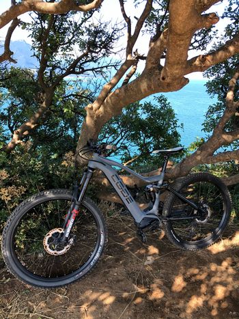 Used cgde Cgde Custom Shimano Dura Ace 2021 Mountainbike — image 4 of 5
