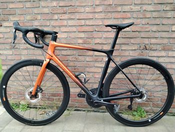 Used Giant TCR Advanced Pro Disc 0 Di2 2024 2024 Road & Gravel, Naranja — image 2 of 7