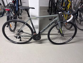 Corratec, Corones Expert Disc 2025