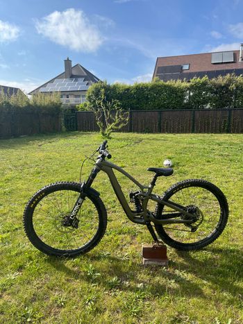 Used Trek Fuel EX 9.8 XT Gen 6 2024 2024 Mountainbike, Light Gray, 29 — image 4 of 15