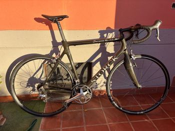 Storck, Scenario Shimano Ultegra