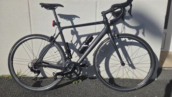 Canyon, Endurace CF 7.0 2020