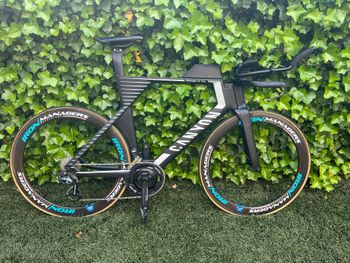 Canyon, Speedmax CF SLX 8.0 2020