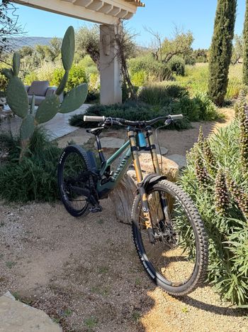 Canyon, Sender CFR Mullet 2024 Frameset