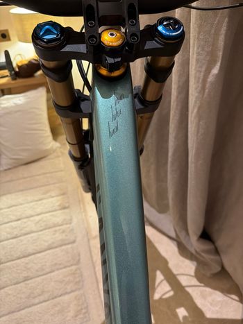 Used Canyon Sender CFR Mullet 2024 Frameset 2024 Mountainbike, Green, 29, 27.5 — image 5 of 9