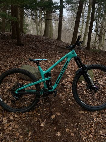 Propain, Tyee CF 29 Performance 2022
