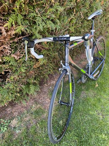 Used Haibike Haibike Rennrad QRace RC 2013 Road & Gravel, Light Gray — image 2 of 5