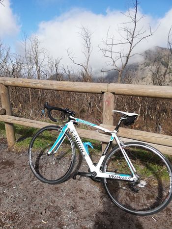 Used Specialiced Specialiced Custom Shimano Ultegra 2016 Road & Gravel, Blanco — image 3 of 16