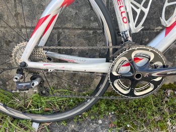 Used Pinarello Fp quattro easy-fit Campagnolo Record 2013 Road & Gravel — image 3 of 5