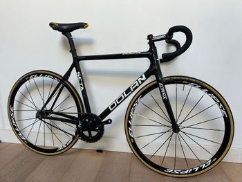 Dolan, Dolan Custom Other