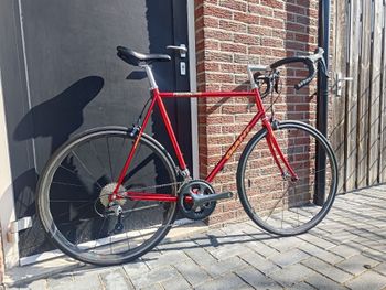 Giant, Peloton Shimano Tiagra