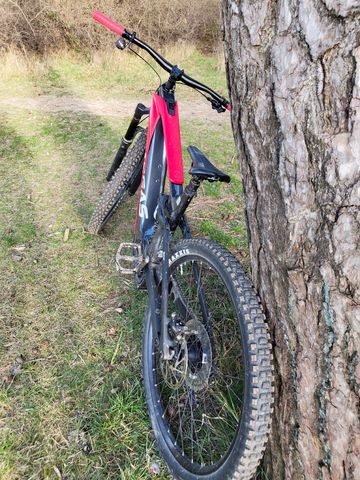 Used GASGAS ECC 4 2024 2024 Mountainbike, Light Gray, 29 — image 5 of 7