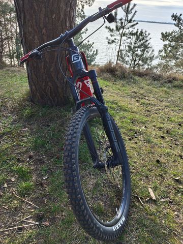 Used GASGAS ECC 4 2024 2024 Mountainbike, Light Gray, 29 — image 7 of 7