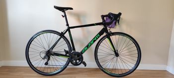 Used Avanti Giro 2 2016 Road & Gravel