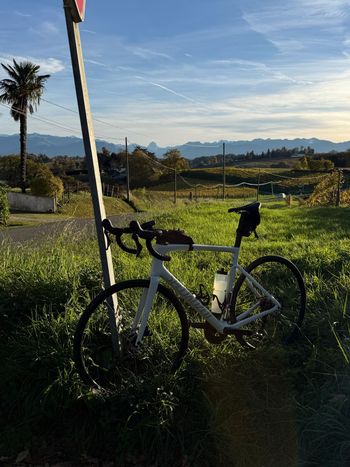 Specialized, Tarmac SL7 Sport - Shimano 105 2025