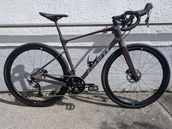 Giant, Revolt Advanced 0 2023