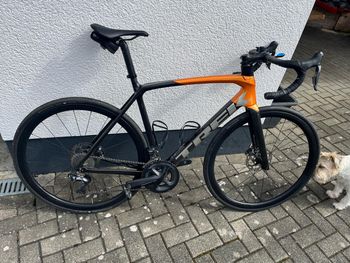 Used Trek Émonda SL 7 2021 2021 Route & Gravel
