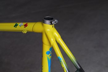 Used Colnago C40 Frameset 1995 Road & Gravel — image 14 of 20