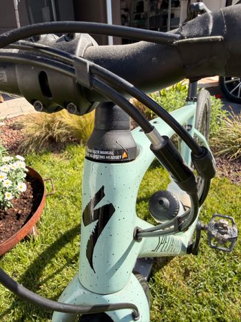 Used Specialized Diverge Sport Carbon 2022 2022 Road & Gravel, Grün — image 7 of 8