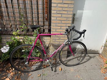 Gazelle, Gazelle Custom Other