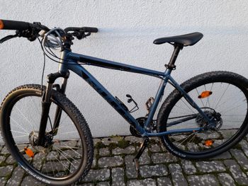 BULLS, Wildtail Shimano Altus