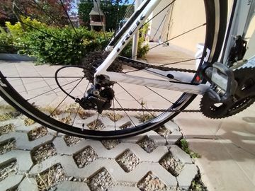 Trek Madone Shimano 105 2012 Road & Gravel usato, Bianco — immagine 4 di 8