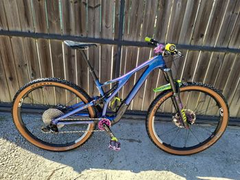 Specialized, Specialized Stumpjumper Comp Carbone 12v 29 - 2019