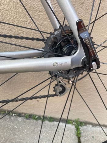 Used Bianchi Luna Campagnolo Veloce 2002 Road & Gravel, Light Gray — image 15 of 17