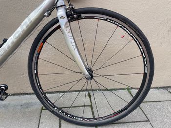 Used Bianchi Luna Campagnolo Veloce 2002 Road & Gravel, Light Gray — image 6 of 17